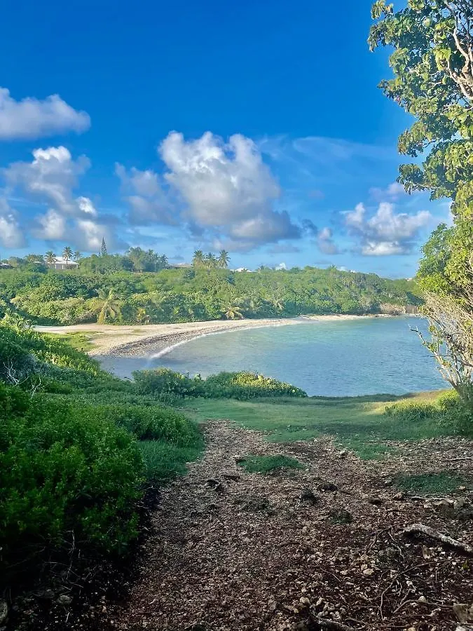 Appart Au Helleux Sainte-Anne  Guadeloupe